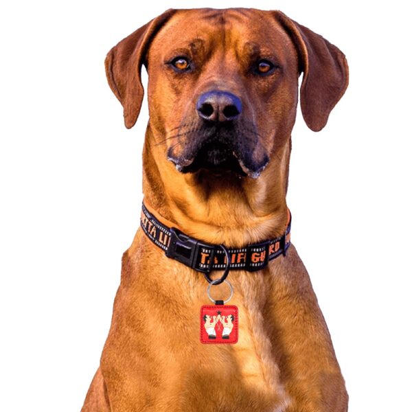 FREDDIE MERCURY custom DOG/ PET TAG . original illustration - Image 3