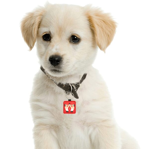 FREDDIE MERCURY custom DOG/ PET TAG . original illustration - Image 2