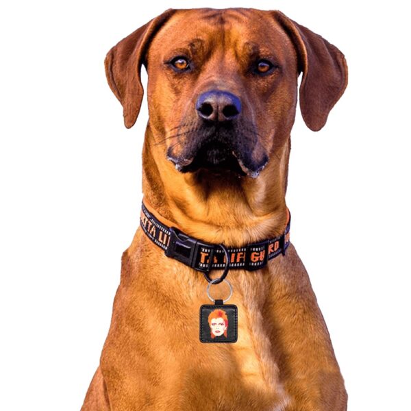 DAVID BOWIE custom DOG/ PET TAG . original illustration - Image 3