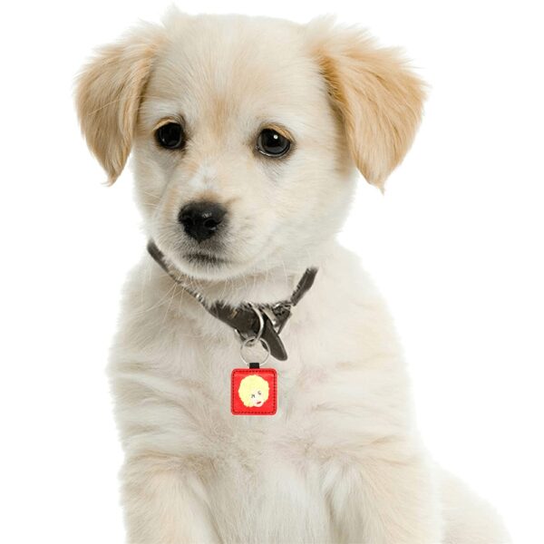 DOLLY PARTON custom DOG/ PET TAG . original illustration - Image 2