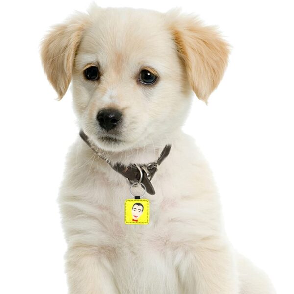 PEE WEE HERMAN custom DOG/ PET TAG . original illustration - Image 2