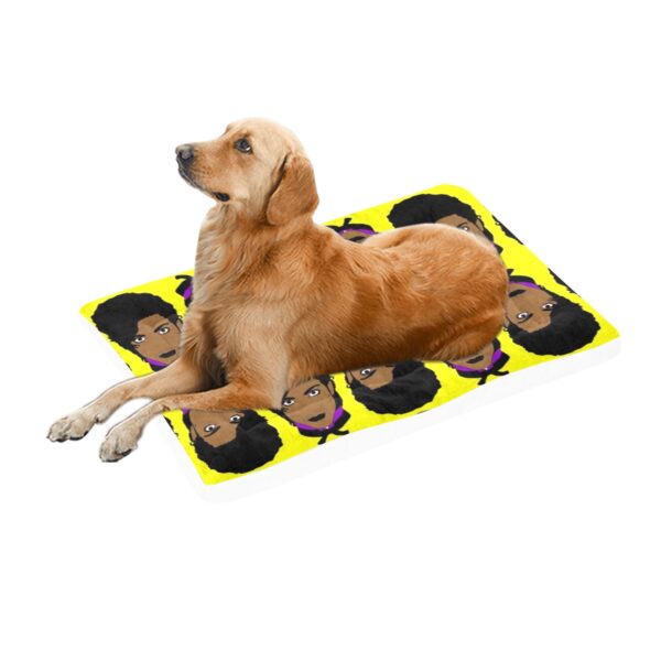 PRINCE, THE ARTIST FORMERLY KNOWN AS... PET BED . original illustration - Image 2