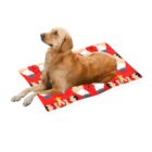 FREDDIE MERCURY ~ QUEEN . PET BED . original illustration - Image 2
