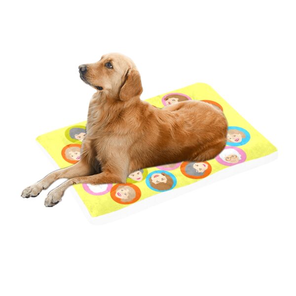 THE GOLDEN GIRLS PET BED . original illustration - Image 2