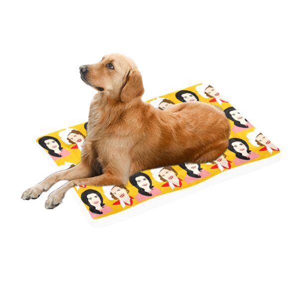 PATSY CLINE and LORETTA LYNN together again!  PET BED . original illustrations - Image 2