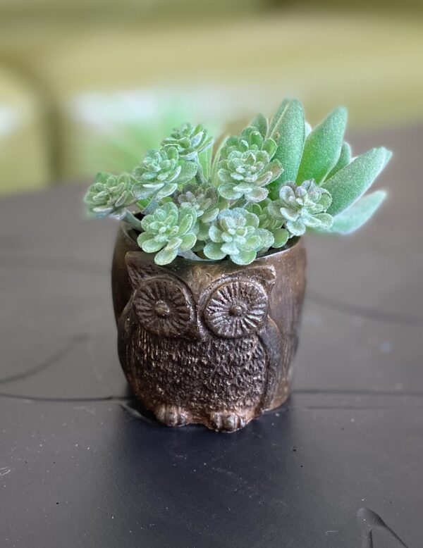 cute lil' vintage owl planter - you choose the color! - Image 2