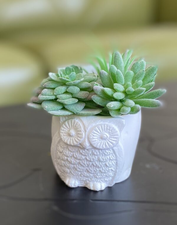 cute lil' vintage owl planter - you choose the color! - Image 4
